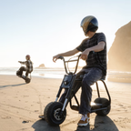 Zinomiix Bike (Up to 50 Miles • 35 MPH)