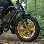 Raven X Pro 1500W / 130 Miles (2026 Edition)