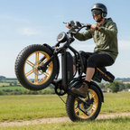 Raven X Pro 1500W / 130 Miles (2026 Edition)