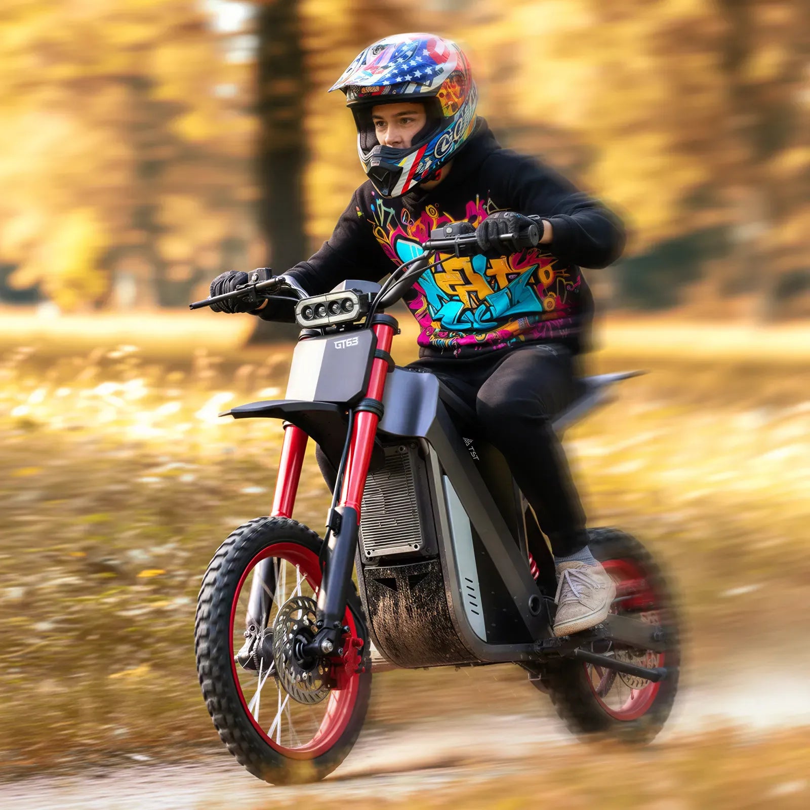 Raptor X 2400W 210Nm High-Torque Electric Dirt Bike