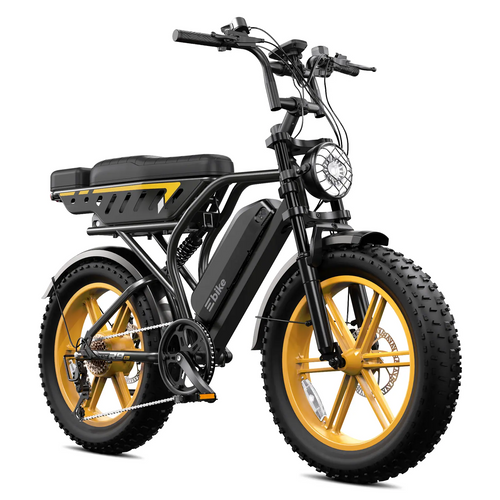 Raven X Pro 1500W / 130 Miles (2026 Edition)