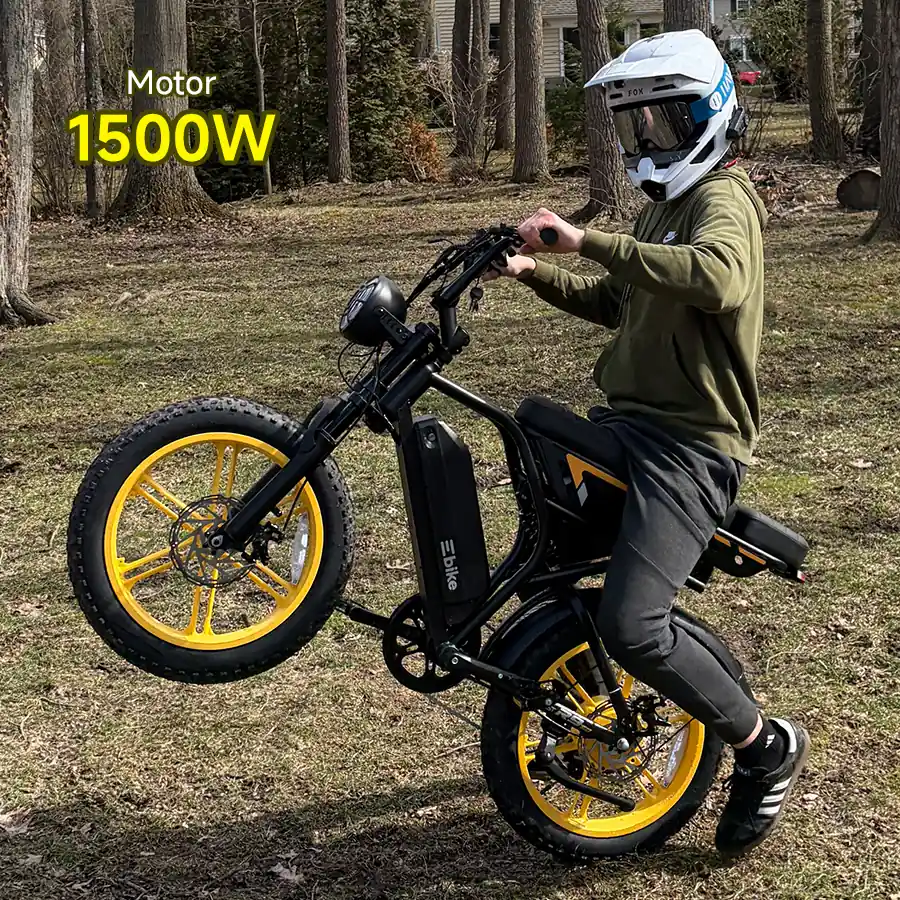 1500W RAW POWER card